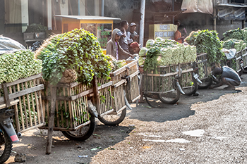 scooter transport in bali